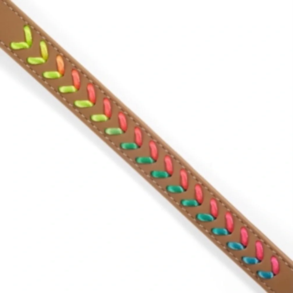 YOULY Tan and Neon Rainbow Braided Chevron Dog Collar